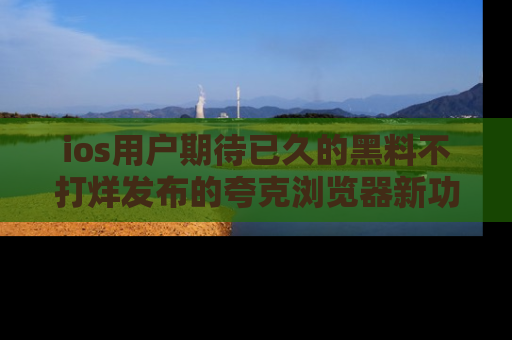 ios用户期待已久的黑料不打烊发布的夸克浏览器新功能上线啦!