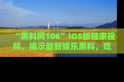 “黑料网106”iOS版独家视频,揭示最新娱乐黑料,吃瓜不停!