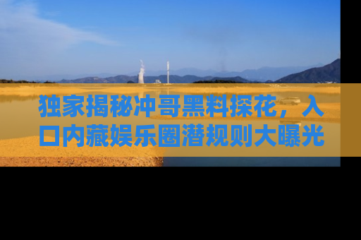 独家揭秘冲哥黑料探花，入口内藏娱乐圈潜规则大曝光