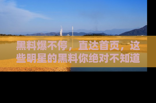 黑料爆不停，直达首页，这些明星的黑料你绝对不知道！