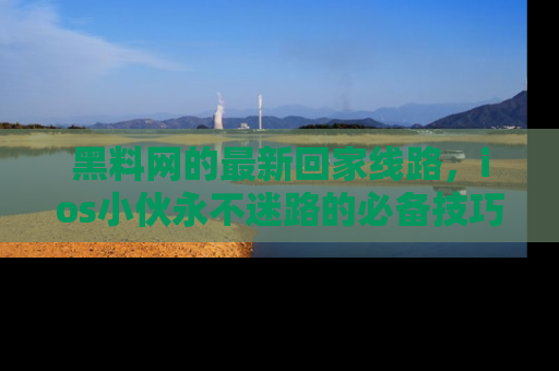 黑料网的最新回家线路，ios小伙永不迷路的必备技巧！