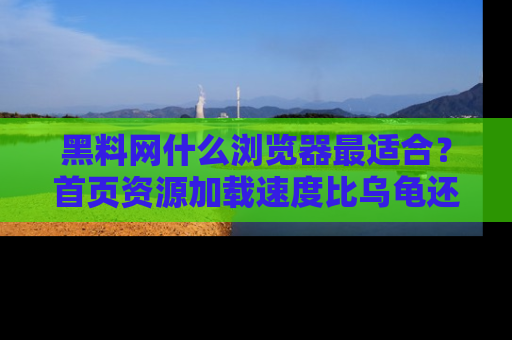 黑料网什么浏览器最适合？首页资源加载速度比乌龟还慢的体验真心吐槽！