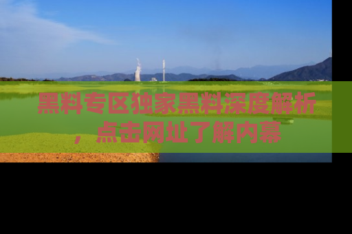 黑料专区独家黑料深度解析，点击网址了解内幕