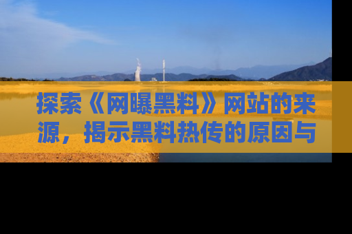 探索《网曝黑料》网站的来源,揭示黑料热传的原因与影响