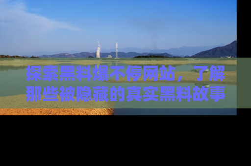 探索黑料爆不停网站,了解那些被隐藏的真实黑料故事