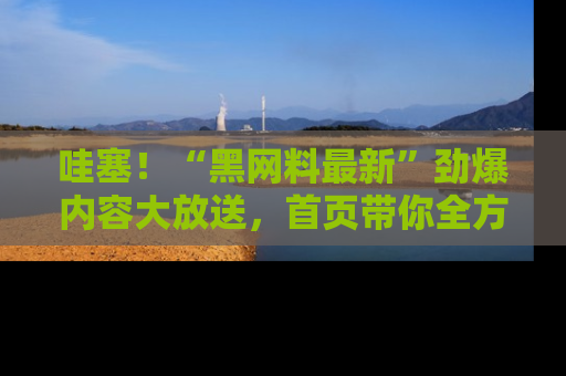 哇塞！“黑网料最新”劲爆内容大放送，首页带你全方位了解哦，小可爱们