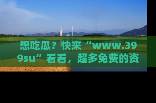 想吃瓜？快来“www.399su”看看，超多免费的资源让你尽情享受！