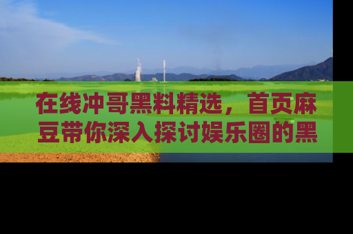 在线冲哥黑料精选，首页麻豆带你深入探讨娱乐圈的黑暗面