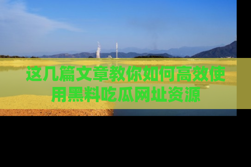 这几篇文章教你如何高效使用黑料吃瓜网址资源